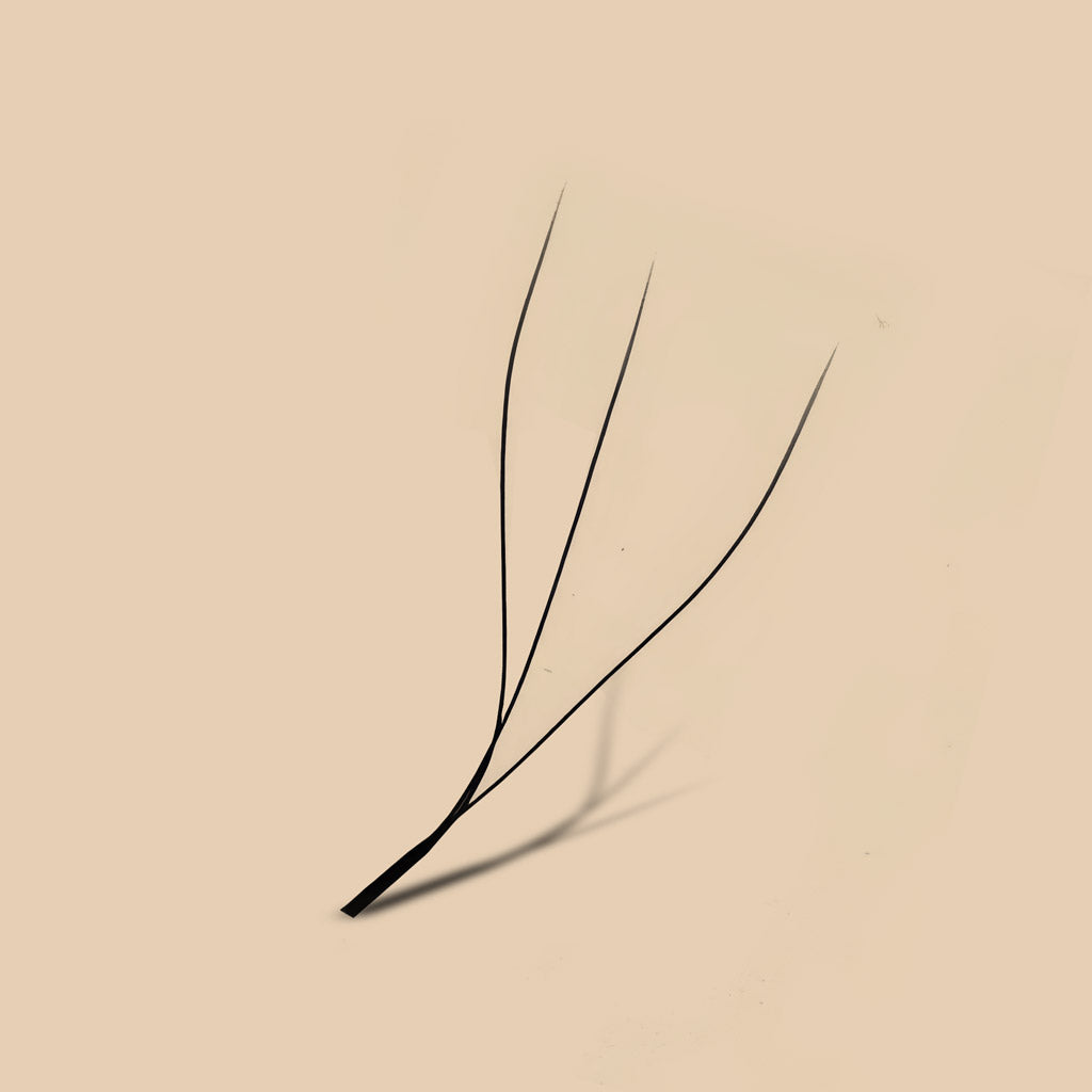 YY Wimperextensions – Voor een Volle, Natuurlijke en Luxe Wimperlook